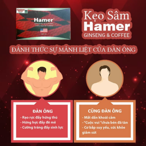 Kẹo Sâm Hamer Bí Quyết Sung Mãn Cho Phái Mạnh